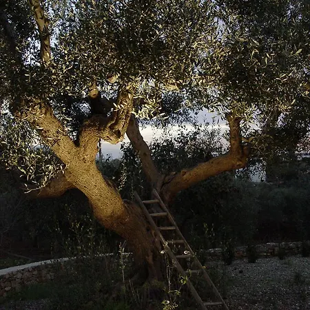 ファームステイ Trullo Sereno Angelo ロコロトンド