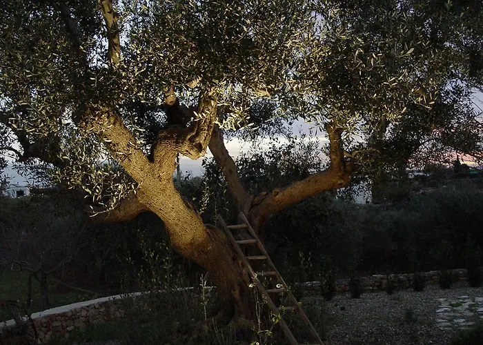 农家乐 Trullo Sereno Angelo 洛科罗通多