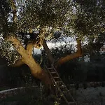 Séjour à la ferme Trullo Sereno Angelo Locorotondo