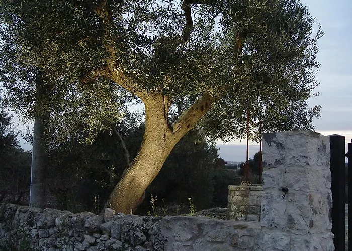 팜스테이 Trullo Sereno Angelo 로코로톤도